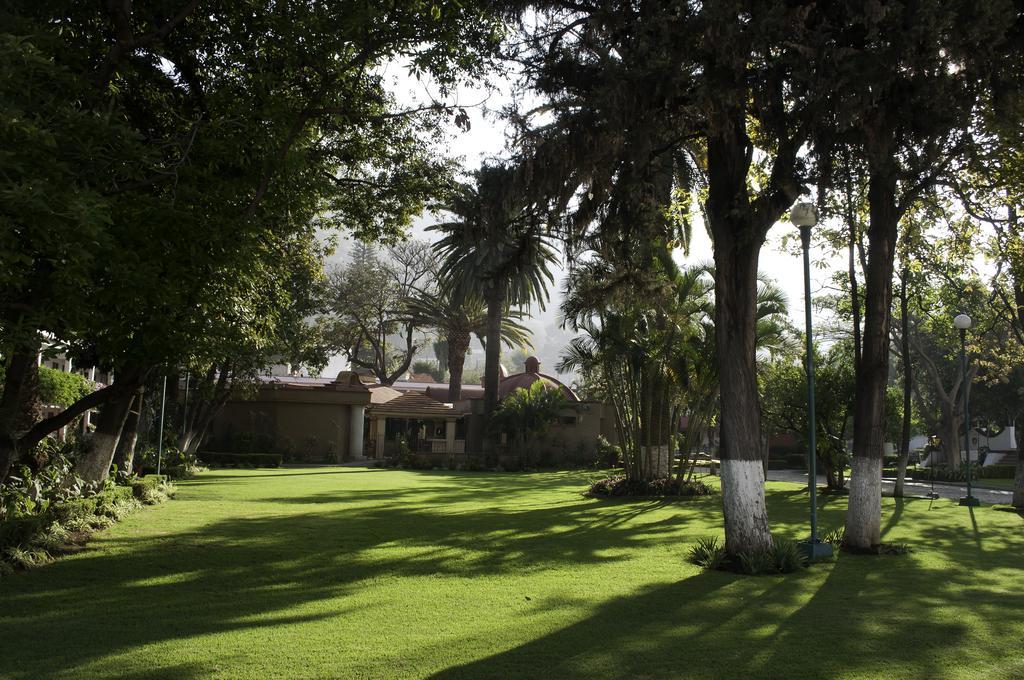 Hotel Los Olivos Spa Oaxaca Buitenkant foto